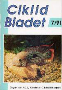 Omslag för Ciklidbladet 1991/07
