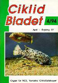 Omslag för Ciklidbladet 1994/04