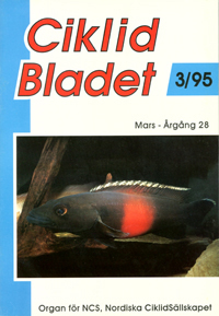 Omslag för Ciklidbladet 1995/03