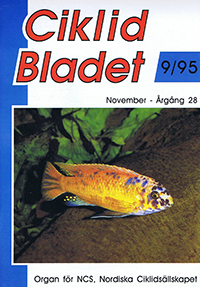 Omslag för Ciklidbladet 1995/09