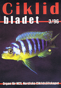 Omslag för Ciklidbladet 1996/03