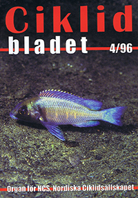 Omslag för Ciklidbladet 1996/04