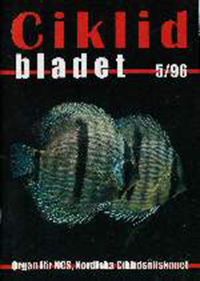 Omslag för Ciklidbladet 1996/05