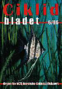 Omslag för Ciklidbladet 1996/06