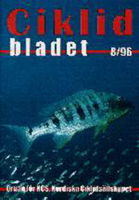 Omslag för Ciklidbladet 1996/08