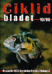 Omslag för Ciklidbladet 1996/10