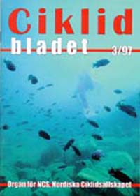 Omslag för Ciklidbladet 1997/03