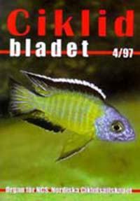 Omslag för Ciklidbladet 1997/04