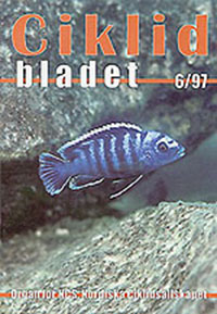 Omslag för Ciklidbladet 1997/06