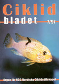Omslag för Ciklidbladet 1997/07