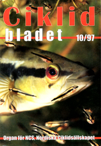 Omslag för Ciklidbladet 1997/10