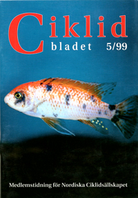 Omslag för Ciklidbladet 1999/05