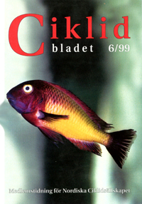 Omslag för Ciklidbladet 1999/06
