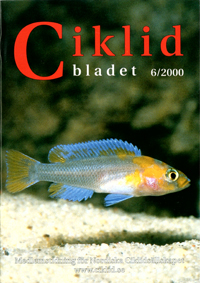 Omslag för Ciklidbladet 2000/06