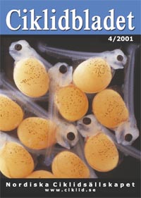 Omslag för Ciklidbladet 2001/04