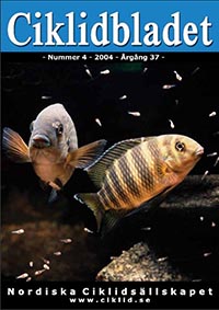 Omslag för Ciklidbladet 2004/04