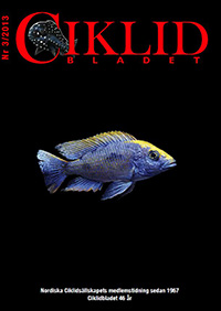 Omslag för Ciklidbladet 2013/03