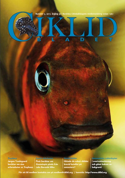 Omslag för Ciklidbladet 2017/03