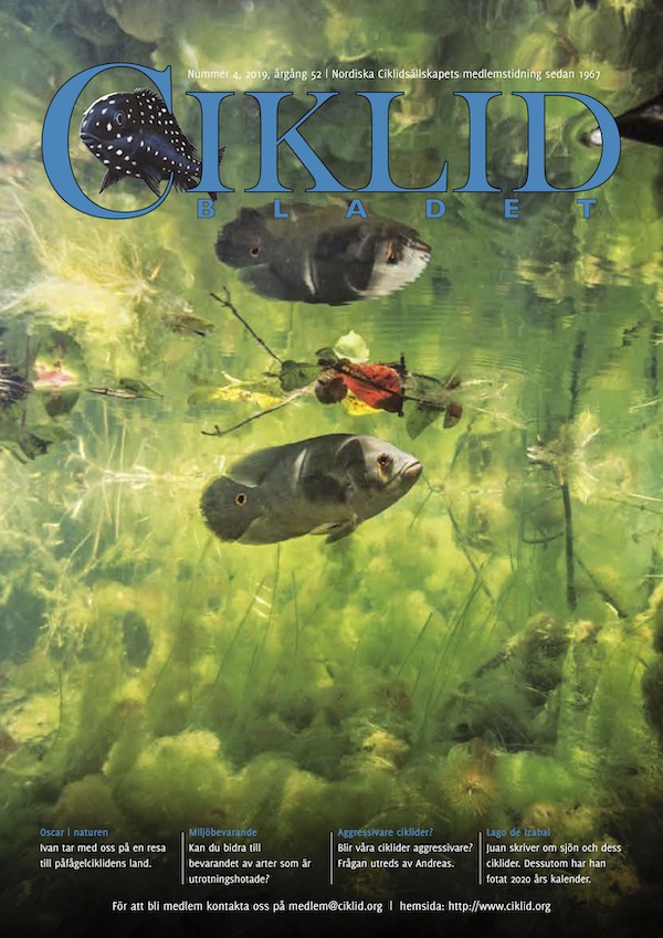 Omslag för Ciklidbladet 2019/04