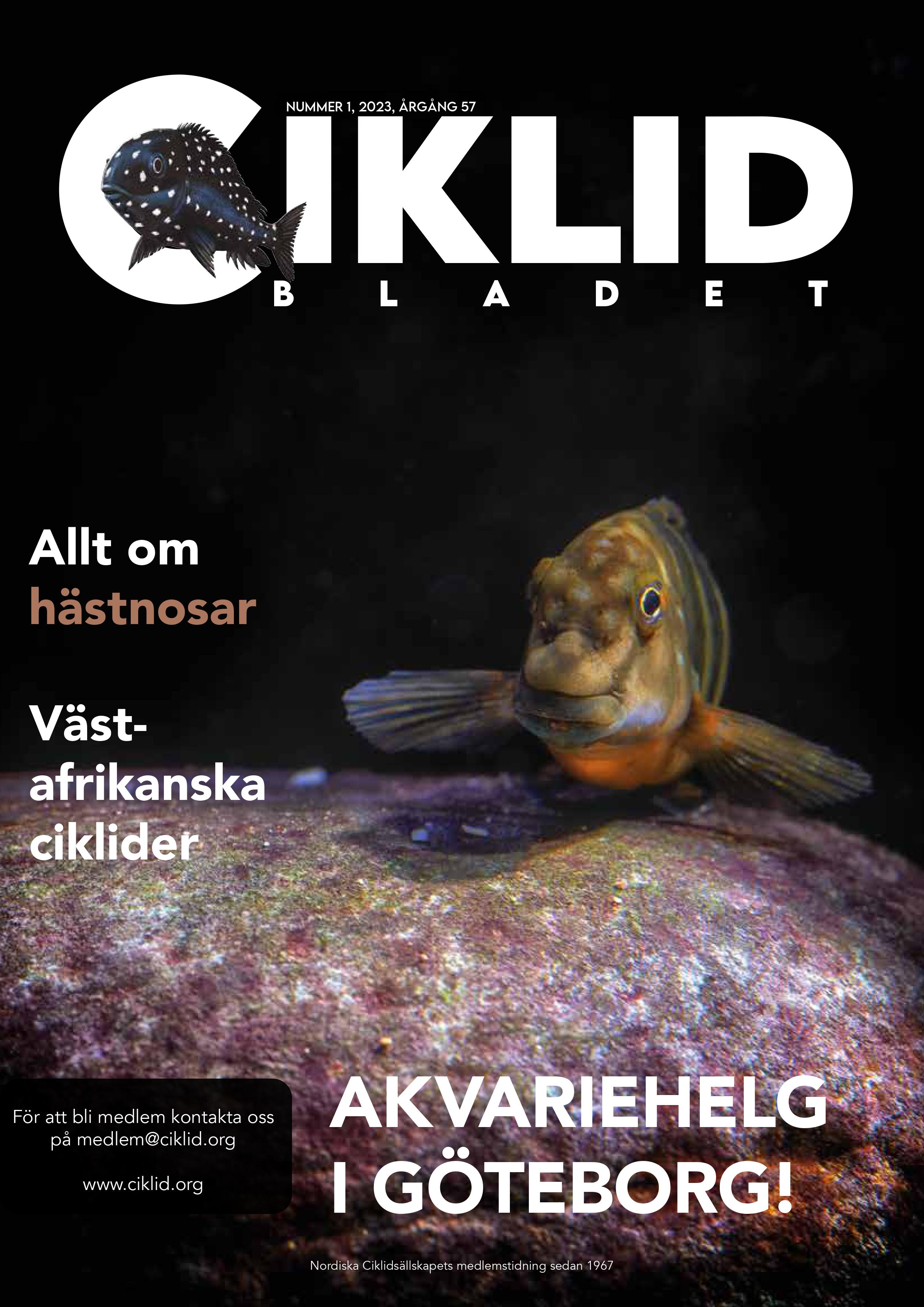 Omslag för Ciklidbladet 2023/01
