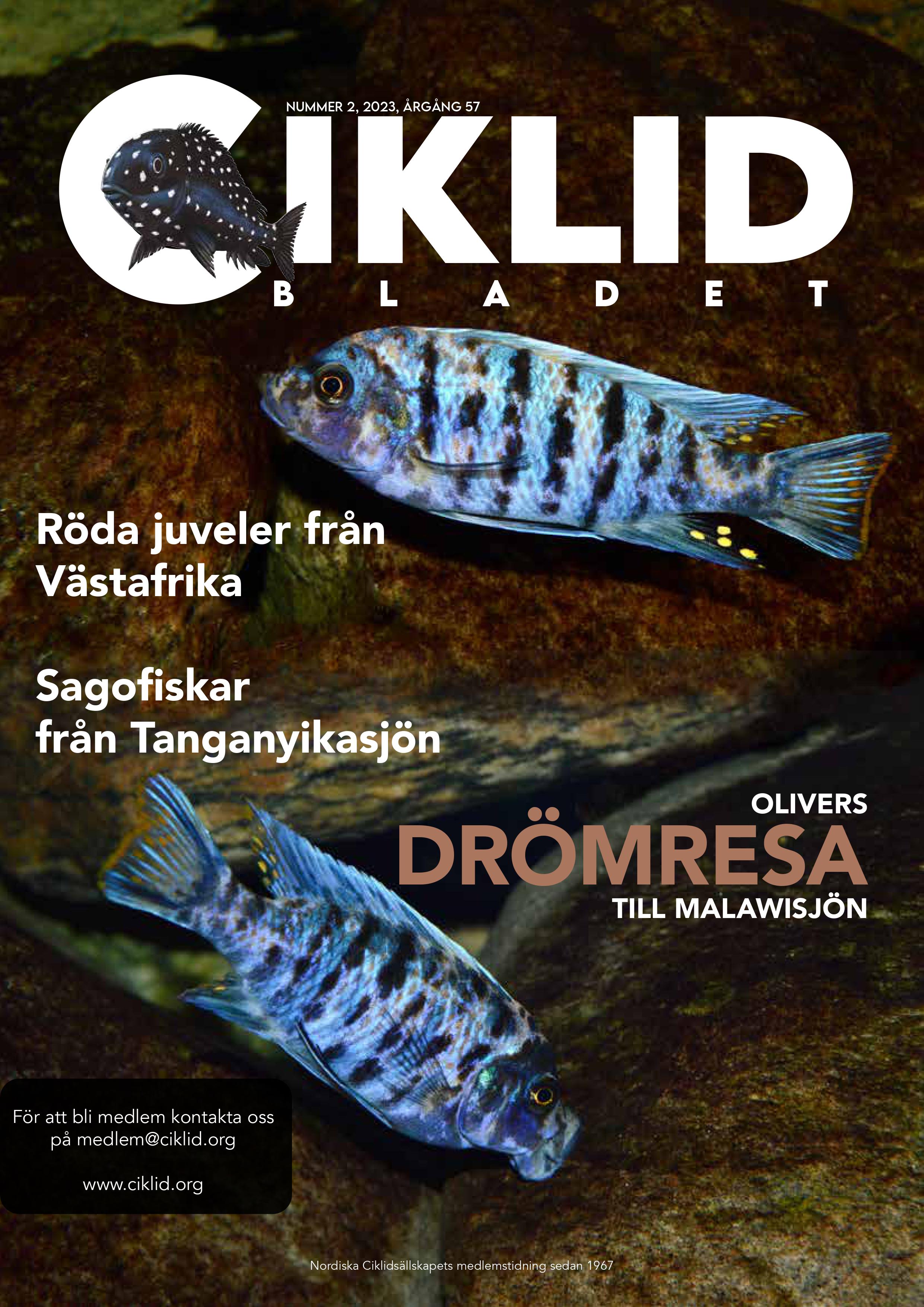 Omslag för Ciklidbladet 2023/02