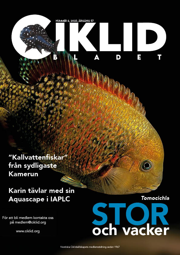 Omslag för Ciklidbladet 2023/04