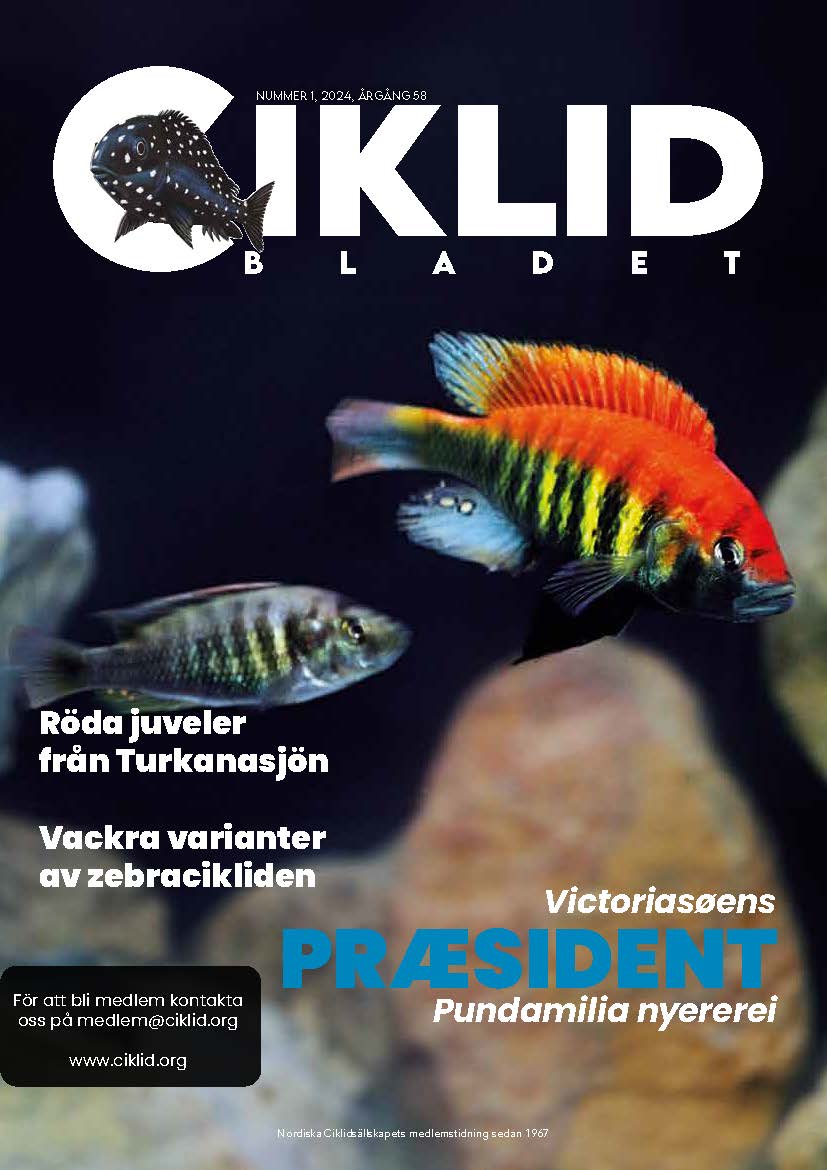 Omslag för Ciklidbladet 2024/01