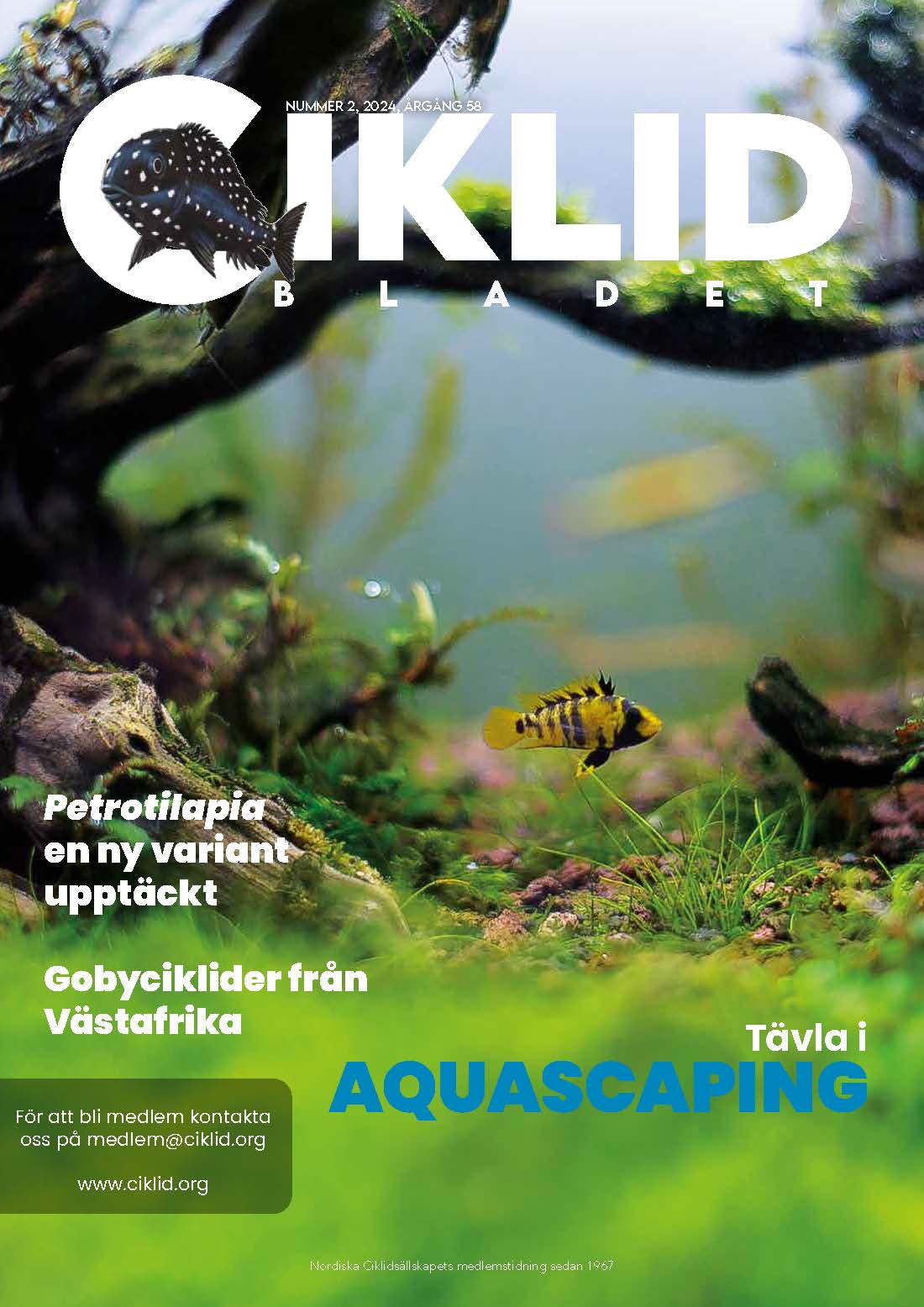 Omslag för Ciklidbladet 2024/02