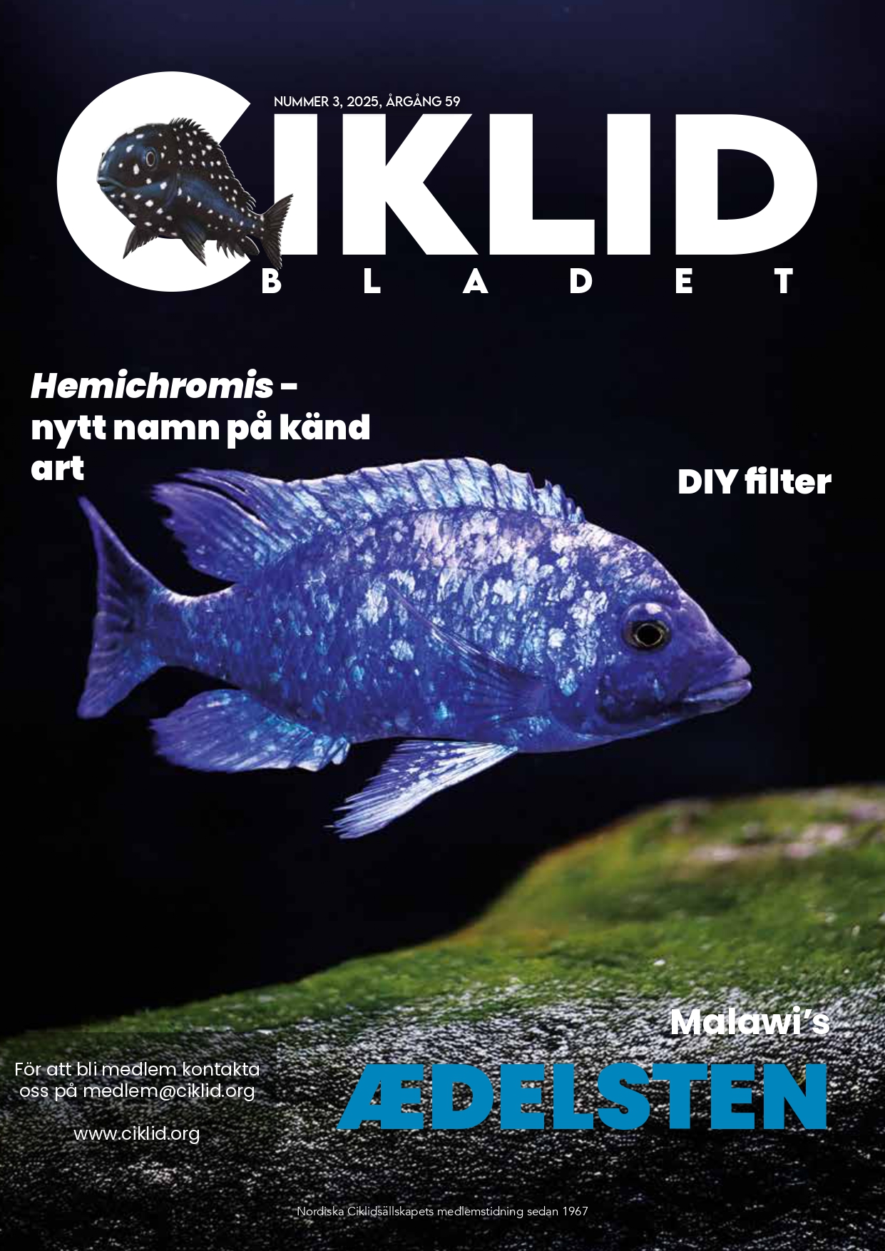 Omslag för Ciklidbladet 202503