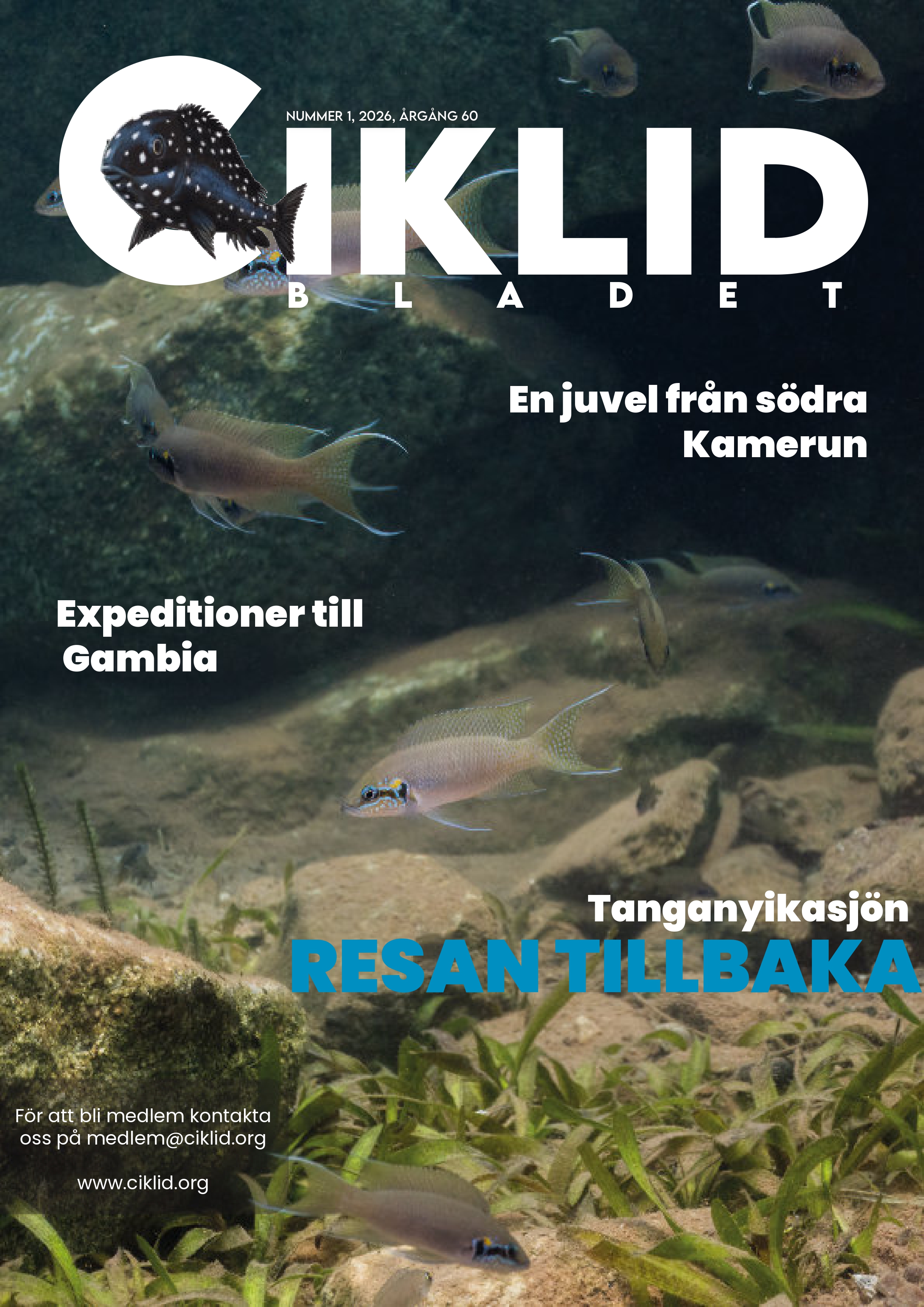 Omslag för Ciklidbladet 2026/01