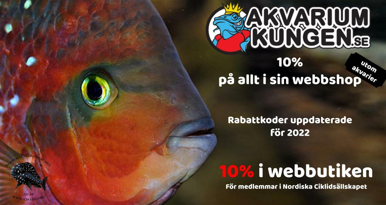 Klicka på bilden för större version

Namn: Akvariumkungen.jpg
Visningar: 26
Storlek: 107,8 KB
ID: 763372