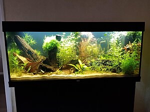 Klicka på bilden för större version

Namn: 240 liters.jpg
Visningar: 541
Storlek: 495,2 KB
ID: 756441