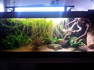 20120809_212339.jpg