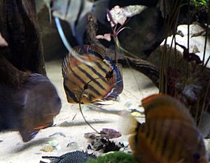 IMG_3282-1.jpg