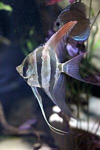 IMG_3153.jpg