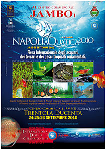 napoli aquatica manifesto1