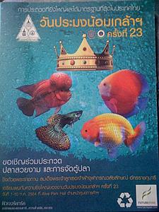 th fish competition