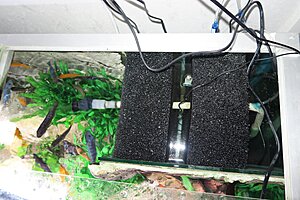 Filterkammare