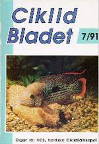 Ciklidbladet cover