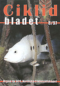 Ciklidbladet cover