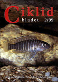 Ciklidbladet cover